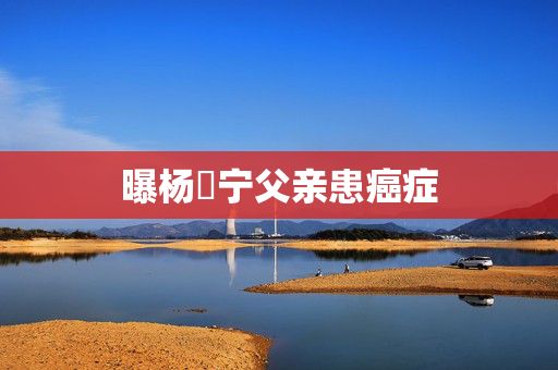 曝杨祐宁父亲患癌症