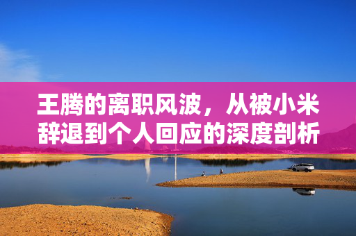 王腾的离职风波，从被小米辞退到个人回应的深度剖析