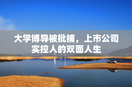 大学博导被批捕，上市公司实控人的双面人生