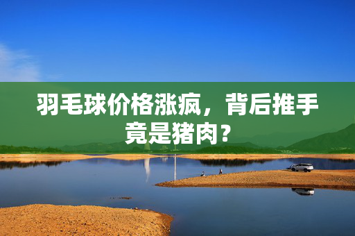 羽毛球价格涨疯，背后推手竟是猪肉？