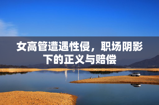 女高管遭遇性侵，职场阴影下的正义与赔偿