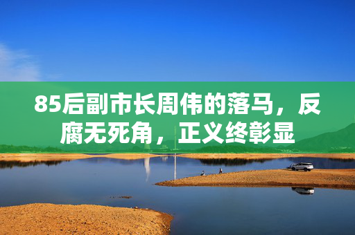 85后副市长周伟的落马，反腐无死角，正义终彰显