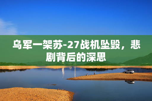 乌军一架苏-27战机坠毁，悲剧背后的深思