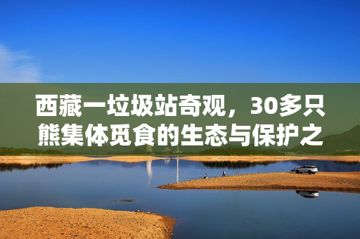 西藏一垃圾站奇观，30多只熊集体觅食的生态与保护之思