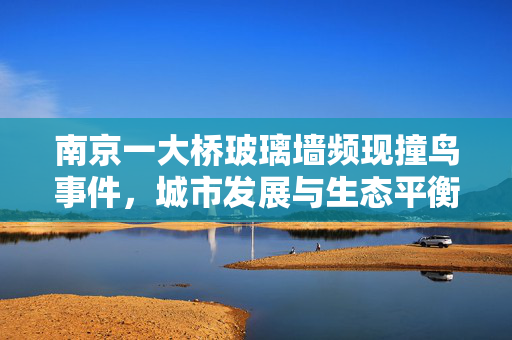 南京一大桥玻璃墙频现撞鸟事件，城市发展与生态平衡的微妙博弈
