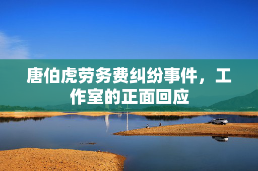 唐伯虎劳务费纠纷事件，工作室的正面回应