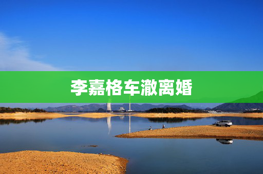 李嘉格车澈离婚