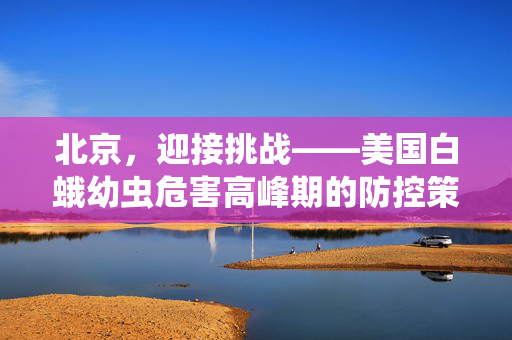 北京，迎接挑战——美国白蛾幼虫危害高峰期的防控策略与生态平衡思考