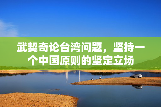 武契奇论台湾问题，坚持一个中国原则的坚定立场