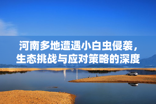 河南多地遭遇小白虫侵袭，生态挑战与应对策略的深度剖析