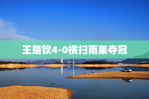 王楚钦4-0横扫雨果夺冠