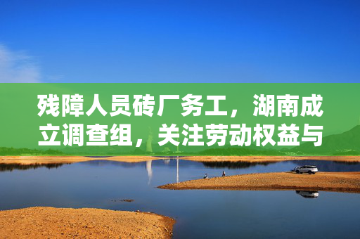 残障人员砖厂务工，湖南成立调查组，关注劳动权益与安全