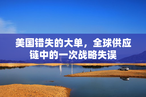 美国错失的大单，全球供应链中的一次战略失误