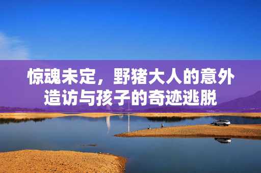 惊魂未定，野猪大人的意外造访与孩子的奇迹逃脱