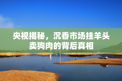 央视揭秘，沉香市场挂羊头卖狗肉的背后真相