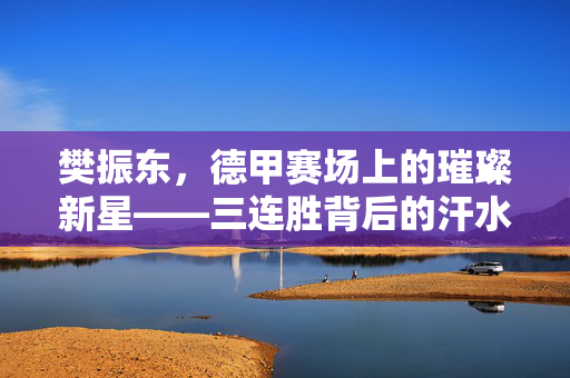 樊振东，德甲赛场上的璀璨新星——三连胜背后的汗水与荣耀