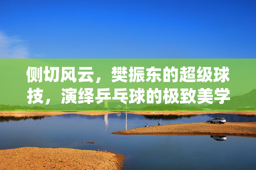 侧切风云，樊振东的超级球技，演绎乒乓球的极致美学