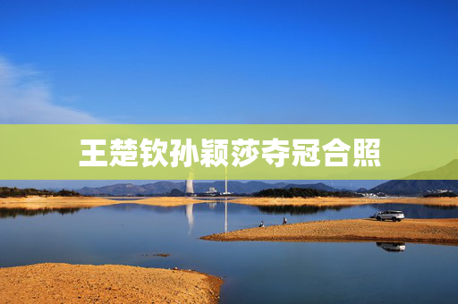 王楚钦孙颖莎夺冠合照