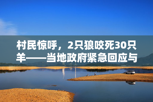 村民惊呼，2只狼咬死30只羊——当地政府紧急回应与措施