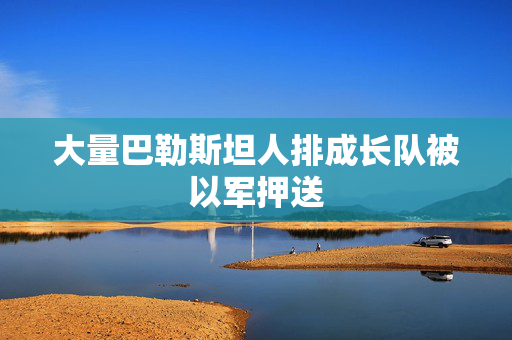 大量巴勒斯坦人排成长队被以军押送