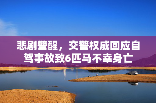 悲剧警醒，交警权威回应自驾事故致6匹马不幸身亡