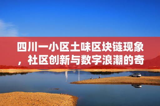 四川一小区土味区块链现象，社区创新与数字浪潮的奇妙融合