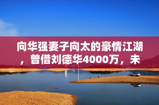 向华强妻子向太的豪情江湖，曾借刘德华4000万，未打欠条的信任之交