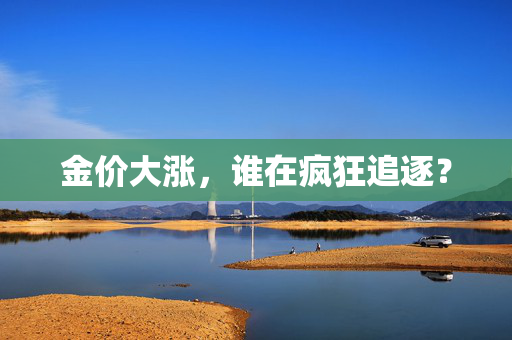 金价大涨，谁在疯狂追逐？