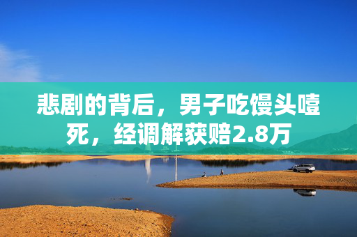 悲剧的背后，男子吃馒头噎死，经调解获赔2.8万