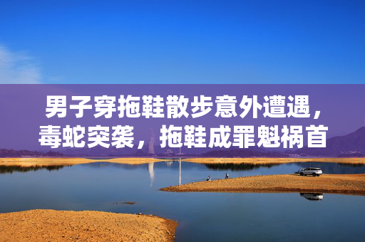 男子穿拖鞋散步意外遭遇，毒蛇突袭，拖鞋成罪魁祸首