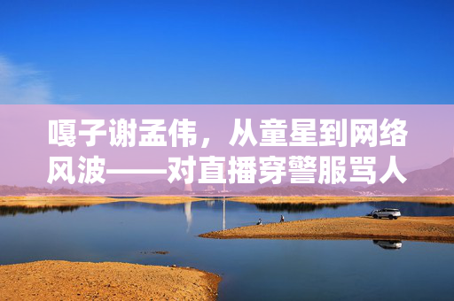 嘎子谢孟伟，从童星到网络风波——对直播穿警服骂人事件的反思与回应