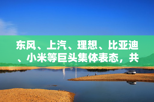 东风、上汽、理想、比亚迪、小米等巨头集体表态，共筑新能源汽车产业新生态