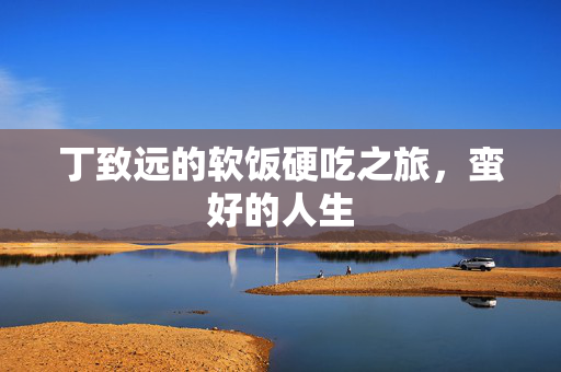 丁致远的软饭硬吃之旅，蛮好的人生