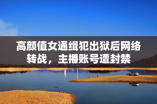 高颜值女通缉犯出狱后网络转战，主播账号遭封禁