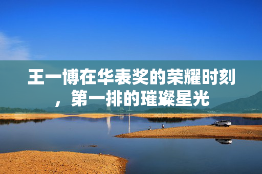 王一博在华表奖的荣耀时刻，第一排的璀璨星光