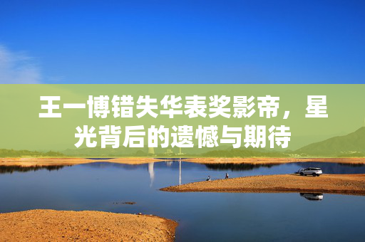 王一博错失华表奖影帝，星光背后的遗憾与期待