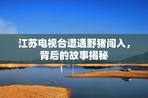 江苏电视台遭遇野猪闯入，背后的故事揭秘