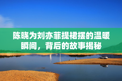 陈晓为刘亦菲提裙摆的温暖瞬间，背后的故事揭秘