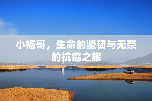 小杨哥，生命的坚韧与无奈的抗癌之旅