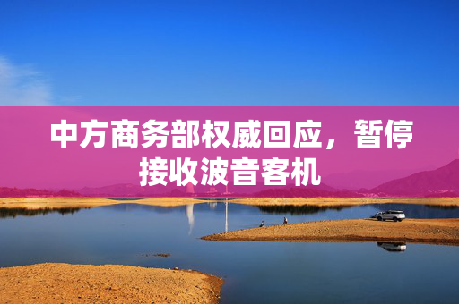 中方商务部权威回应，暂停接收波音客机
