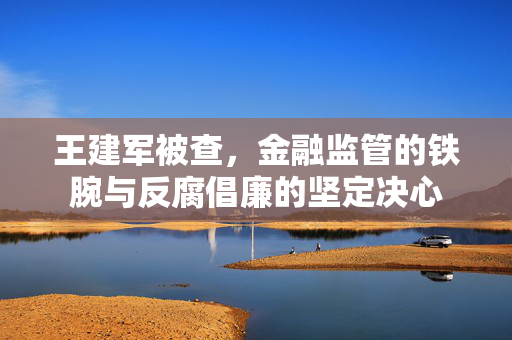 王建军被查，金融监管的铁腕与反腐倡廉的坚定决心