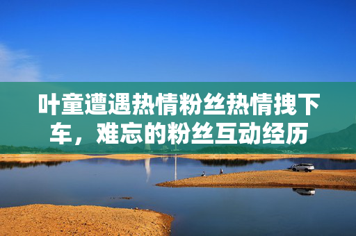 叶童遭遇热情粉丝热情拽下车，难忘的粉丝互动经历