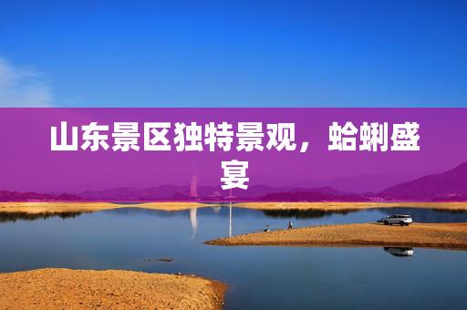 山东景区独特景观，蛤蜊盛宴