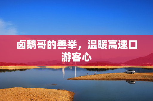 卤鹅哥的善举，温暖高速口游客心
