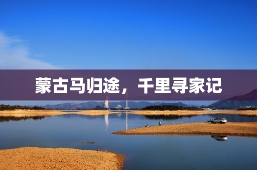 蒙古马归途，千里寻家记