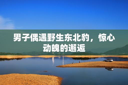 男子偶遇野生东北豹，惊心动魄的邂逅