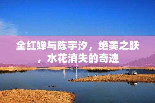 全红婵与陈芋汐，绝美之跃，水花消失的奇迹