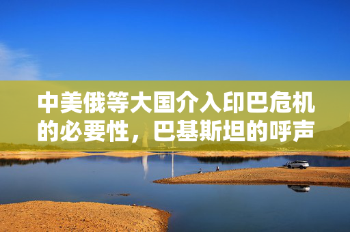 中美俄等大国介入印巴危机的必要性，巴基斯坦的呼声与地区稳定的重要性